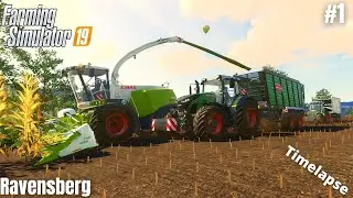 Harvesting 650.000 fresh maize! | Animals on Ravensberg | Farming Simulator 19 | Episode 1