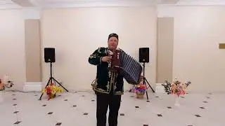 Кошлар моңы