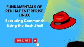 Executing Commands Using the Bash Shell || Fundamentals of Red Hat Enterprise Linux