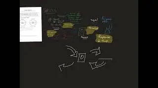 Feedback Loops and components