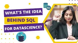 The Growing Popularity of SQL for datascience | Tacticana