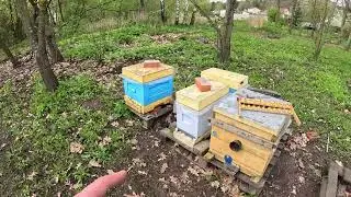 27 апреля
