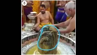 சிலையில் தெரிந்த சிவன் முகம்😱| Magnify Facts |