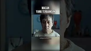 MACAN YANG TERBANGUN