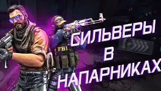 УНИЧТОЖАЕМ СИЛЬВЕРОВ В CS:GO! СМЕШНЫЕ МОМЕНТЫ В КС ГО! СИЛЬВЕРЫ КС ГО! ЧИТЕРЫ В КС ГО!!!