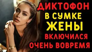 Диктофон в сумке жены уже записывал разговор, пока она даже не догадывалась. Истории измен