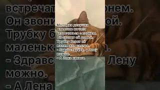 Лена какает 🤣 анекдот от кожаного.