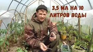 Куры хрипят и кашляют. Как и чем лечить.Микоплазмоз или ларинготрахеит?