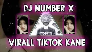 DJ NUMBER X VIRALL KANE YANG DI CARI CARI