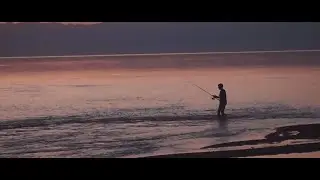 Шалая. Шоурил