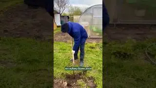 Перекопка ухудшает грунт. 