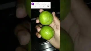 Lemon Dalgona Candy ya phir Lemon pop!!? 🤔🤯| Pass or fail!!? | #squidgame | #dalgonacandy | #shorts