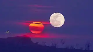 Marcin - Moonlight Sonata on One Guitar