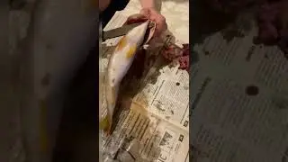 Обалденный и очень простой способ приготовления окуня в духовке, в чешуе
