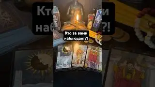 Кто за вами наблюдает?! #таро Запись на личную консультацию +79046707505 Карина