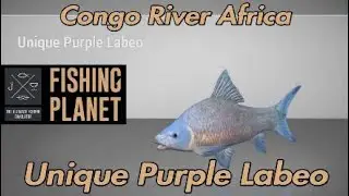 Fishing Planet - Unique Purple Labeo Congo River Africa