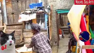 men fanm kap mange mange chat yo tande zen nan repiblik la