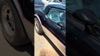 I Found A Flood Damaged Mint Condition 1978 Chevrolet Corvette At Copart Salvage Auction