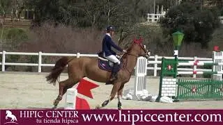 Gran Premio Concurso Hípico de Salto de Obstáculos Nacional** celebrado en la RSHECC 25.3.18