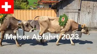 Abfahrt 2023: Mels Heidiland