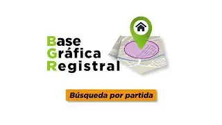 Base Gráfica Registral: Búsqueda por partida