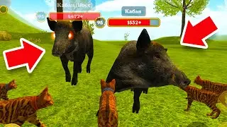 КАК ПОБЕДИТЬ ВСЕХ БОССОВ в игре Симулятор Кота и Кошки