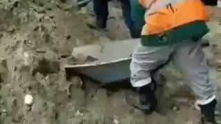 Комедия