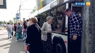 Петербуржцы обеспокоены отменой маршруток в 2020 году