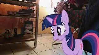 A Day With Twilight Sparkle (MLP in real life)