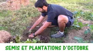 QUE SEMER ET PLANTER EN OCTOBRE ?