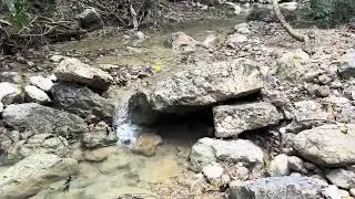 Riachuelo / ручей 25/02/2024