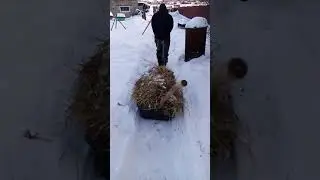 Юмор, колхоз, работа.