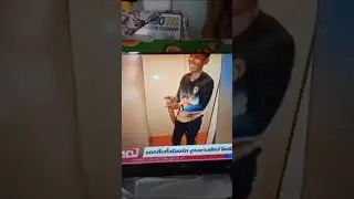 гости в руме
