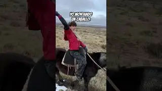 ARRRRRRRRRHEEE CABALLOO