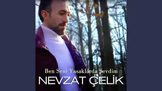 Ben Seni Yasaklarda Sevdim