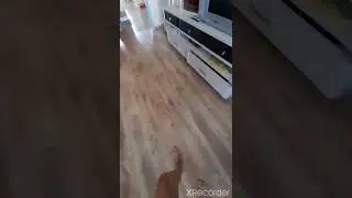 Типичный Seek