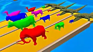 4 Giant Crocodile | Elephant Tiger Cow Duck | fountain crossing animal transformation