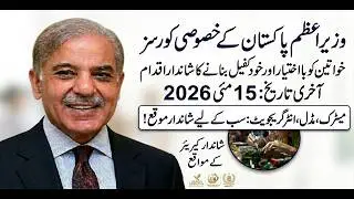 CM Punjab She Fixed Female Program 2026 | Free Online Courses
