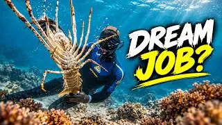 Life On The Great Barrier Reef (Commercial Lobster Diving)