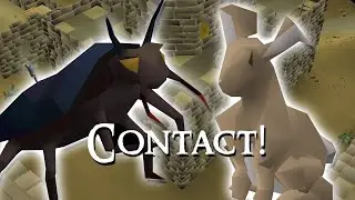 Quickie Contact!
