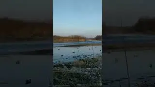 Весенняя охота!