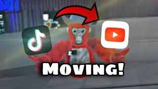 Why im moving to youtube??