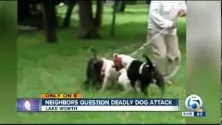 3 Pit Bulls viciously kill Poodle caught on tape
