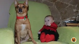Our first Christmas with our newborn daughter. (4 months old)