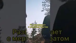 Разговаривает с мёртвым братом😢 