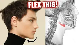 How Models Get Sharp Jawlines (Train This Muscle)