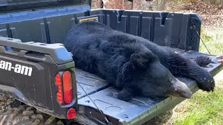 2021 VA Archery Black Bear Season Highlights