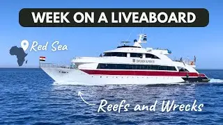 Week on a Liveaboard in the Red Sea - Reefs and Wrecks