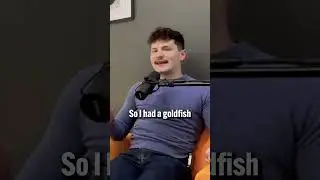 How did your goldfish die...? 