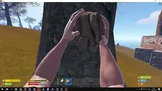 133 Live World pirate Rust.